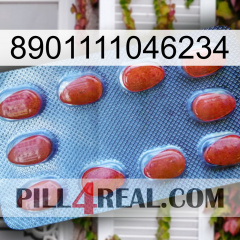 8901111046234 06